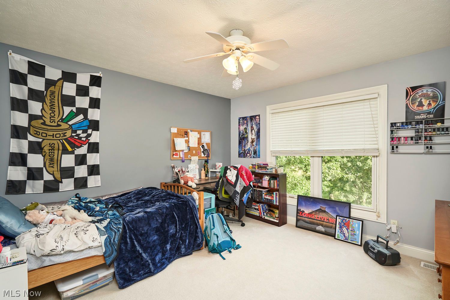 4605 Wakefield Run Boulevard Richfield OH 44286