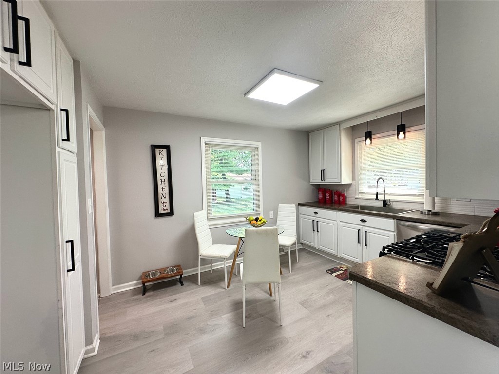 1031 Gary Court Wickliffe OH 44092