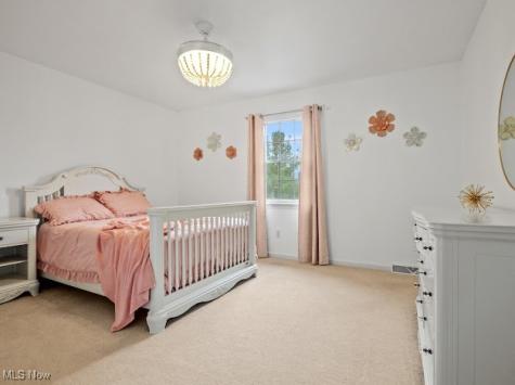 301 Timber Run Drive Canfield OH 44406