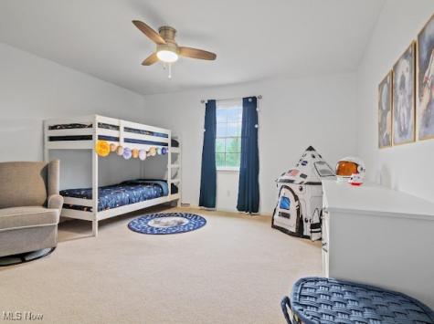 301 Timber Run Drive Canfield OH 44406