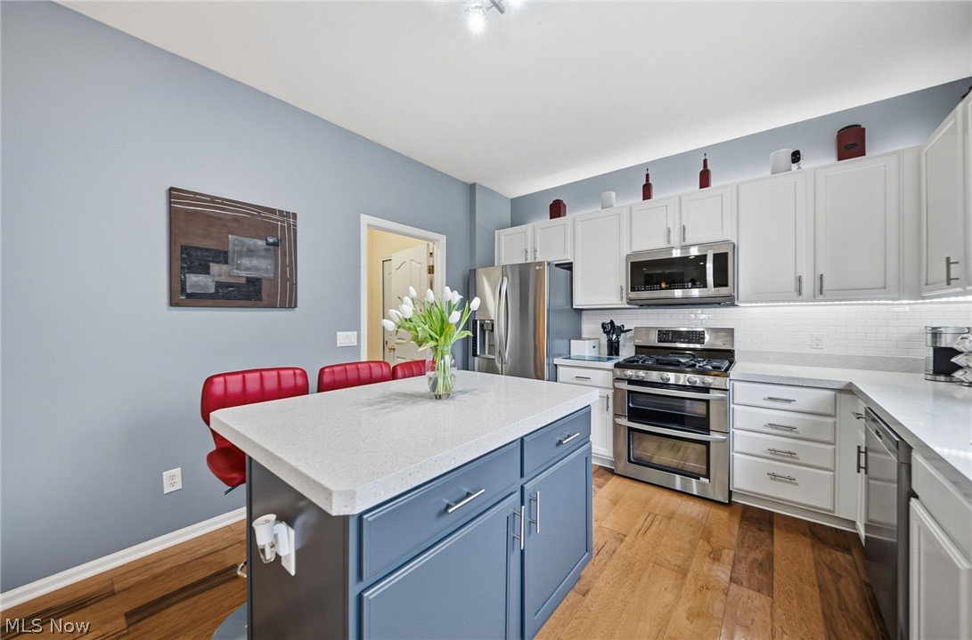 313 Wilmington Drive Broadview Heights OH 44147