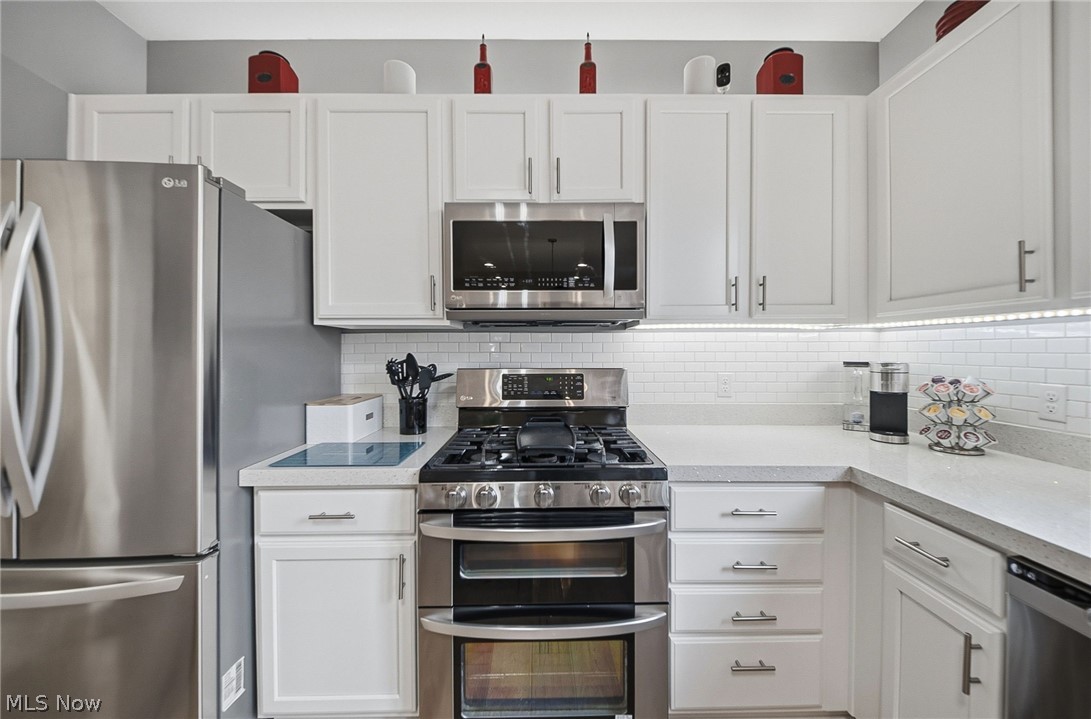313 Wilmington Drive Broadview Heights OH 44147