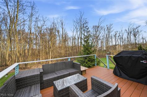 313 Wilmington Drive Broadview Heights OH 44147
