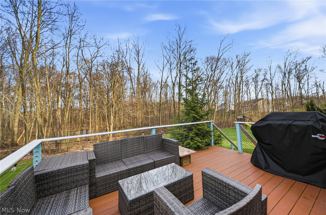 313 Wilmington Drive Broadview Heights OH 44147
