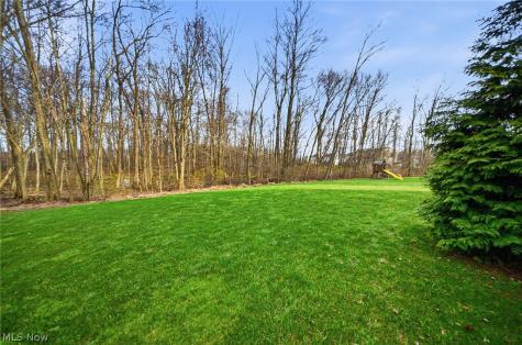 313 Wilmington Drive Broadview Heights OH 44147