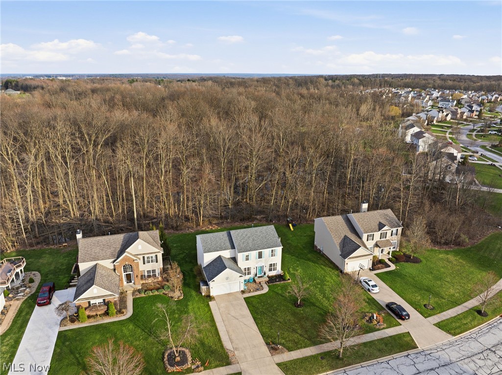 313 Wilmington Drive Broadview Heights OH 44147