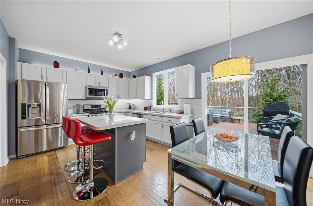 313 Wilmington Drive Broadview Heights OH 44147