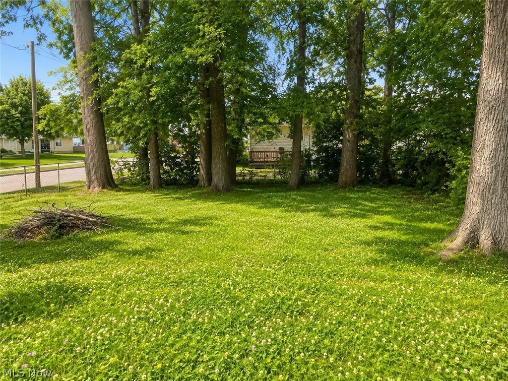 1294 Inman Street Akron OH 44306