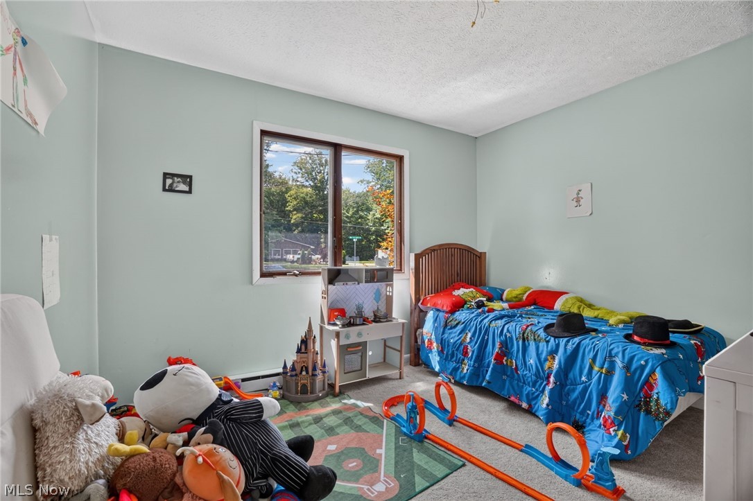 731 Lark Court Rock Creek OH 44084