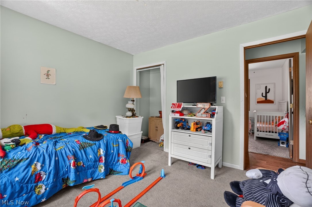 731 Lark Court Rock Creek OH 44084
