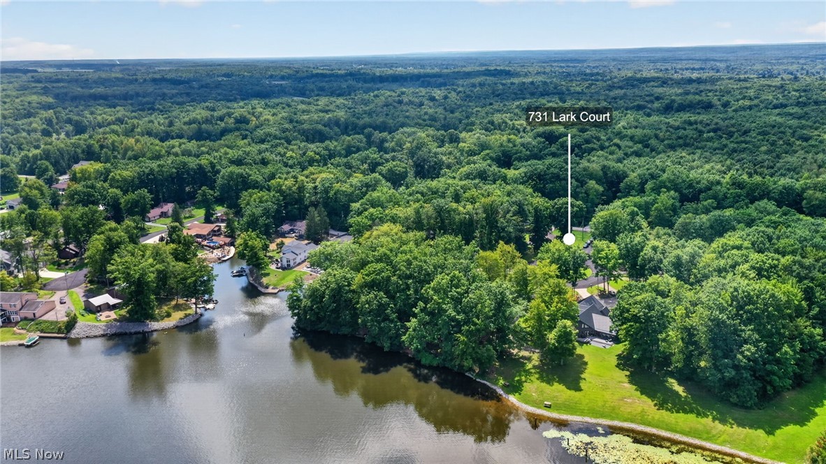 731 Lark Court Rock Creek OH 44084