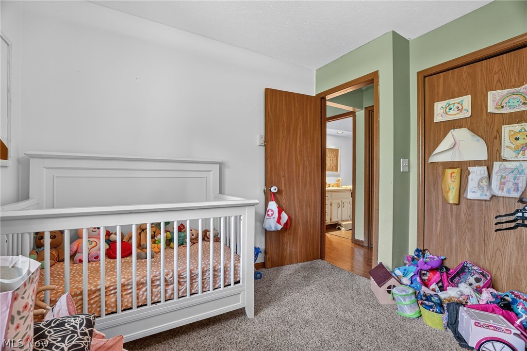 731 Lark Court Rock Creek OH 44084