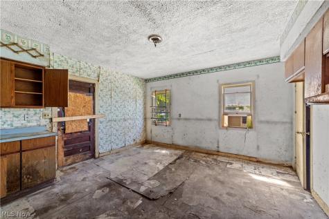 368 Sanford Street Painesville OH 44077