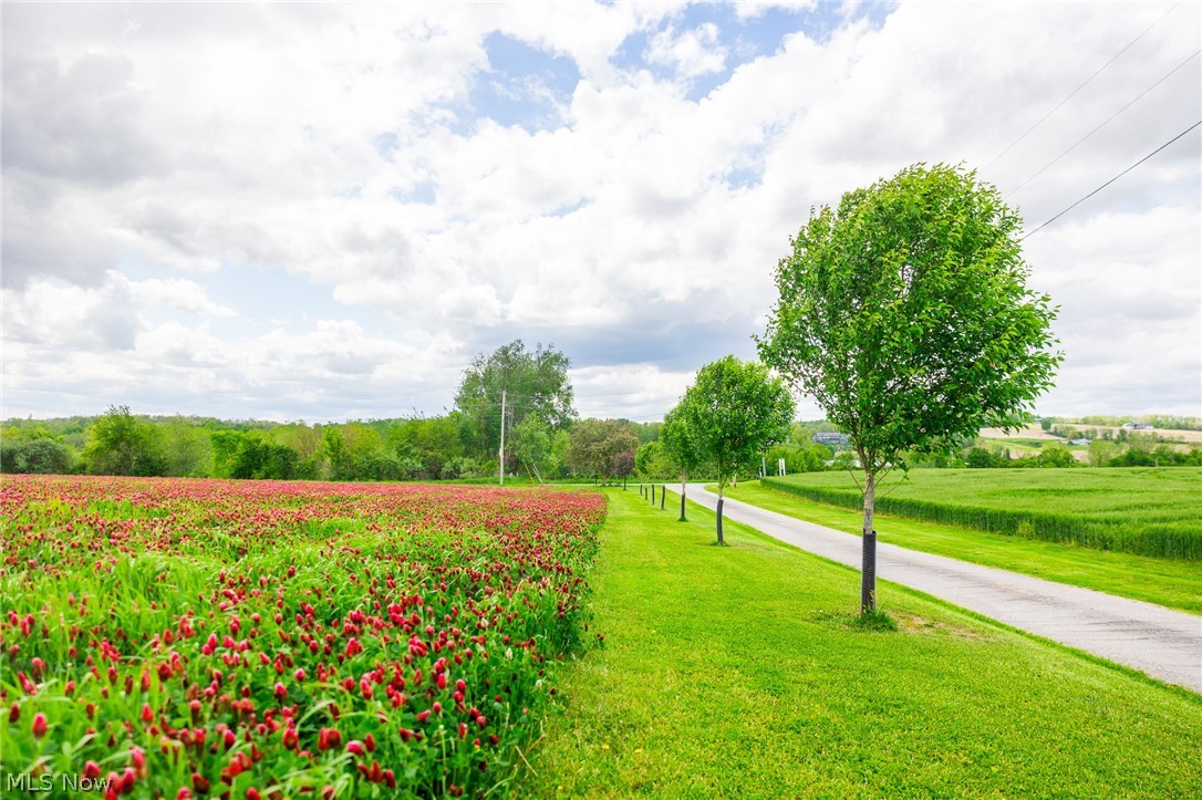 4686 Valley Road Wooster OH 44691