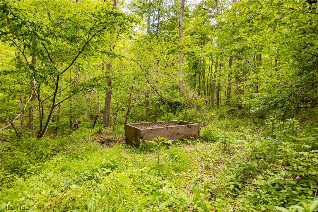 26103 Township Road 250 Newcomerstown OH 43832
