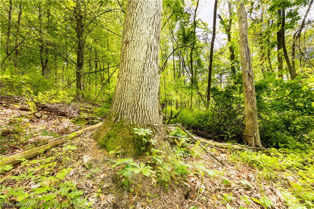 26103 Township Road 250 Newcomerstown OH 43832