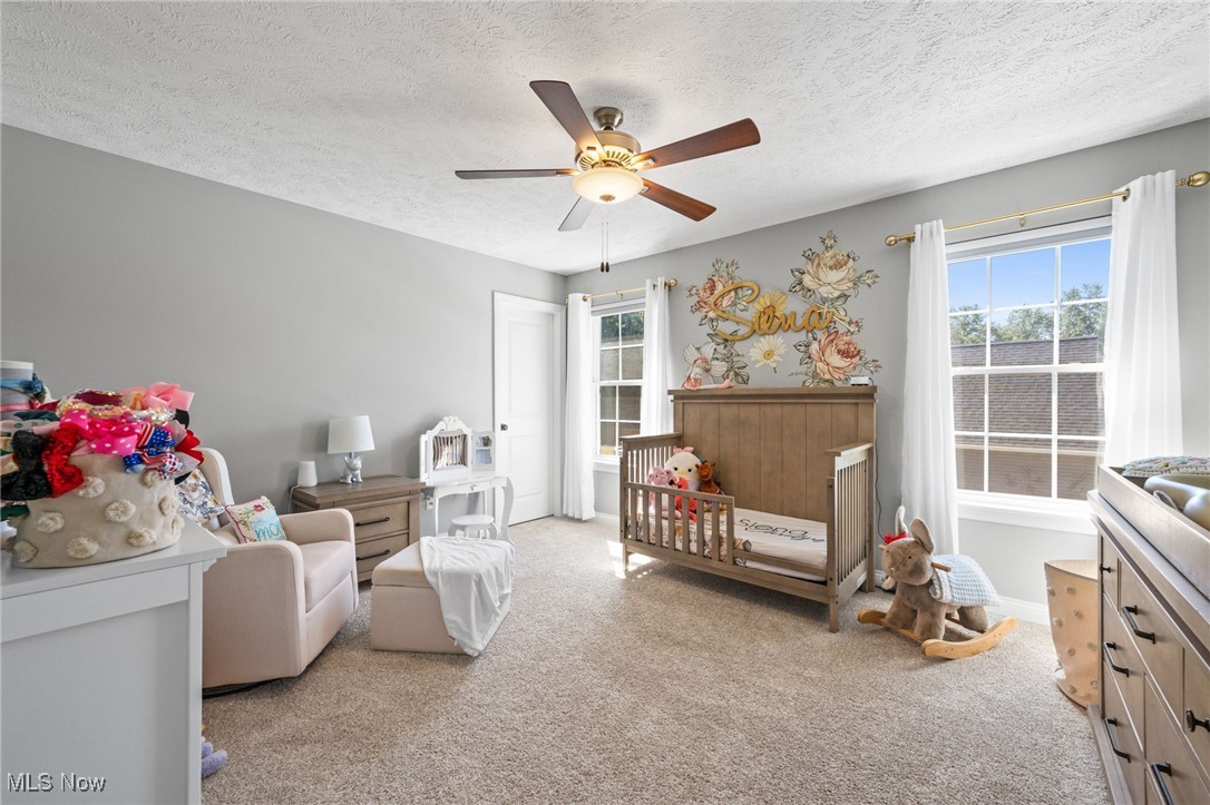 8185 Deepwood Boulevard Mentor OH 44060