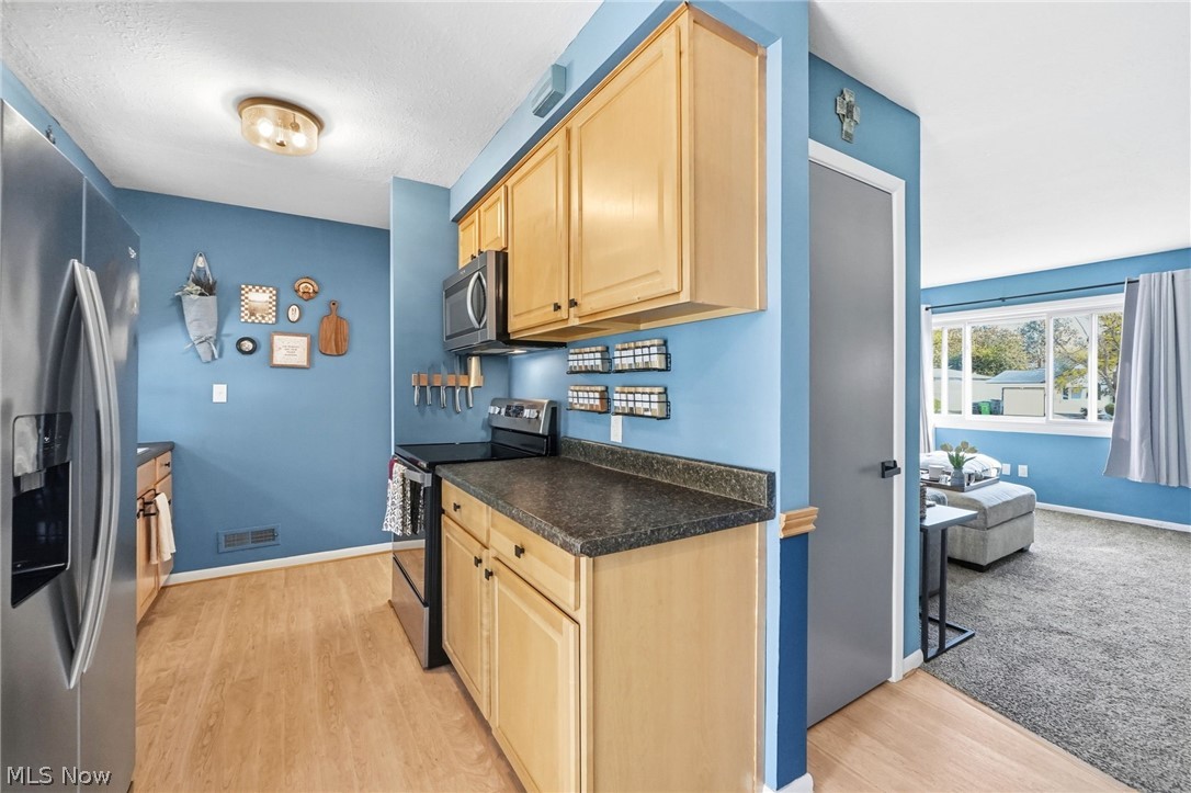 1824 Drenik Drive Wickliffe OH 44092