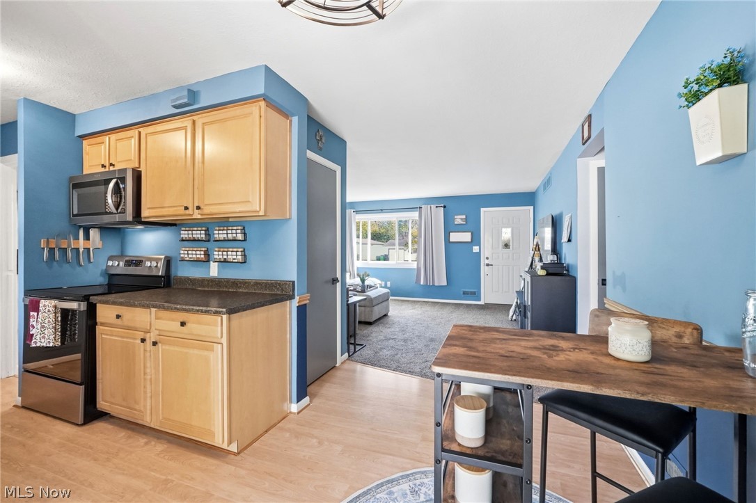 1824 Drenik Drive Wickliffe OH 44092