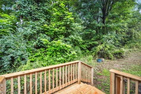 12280 Whitman Road Doylestown OH 44230