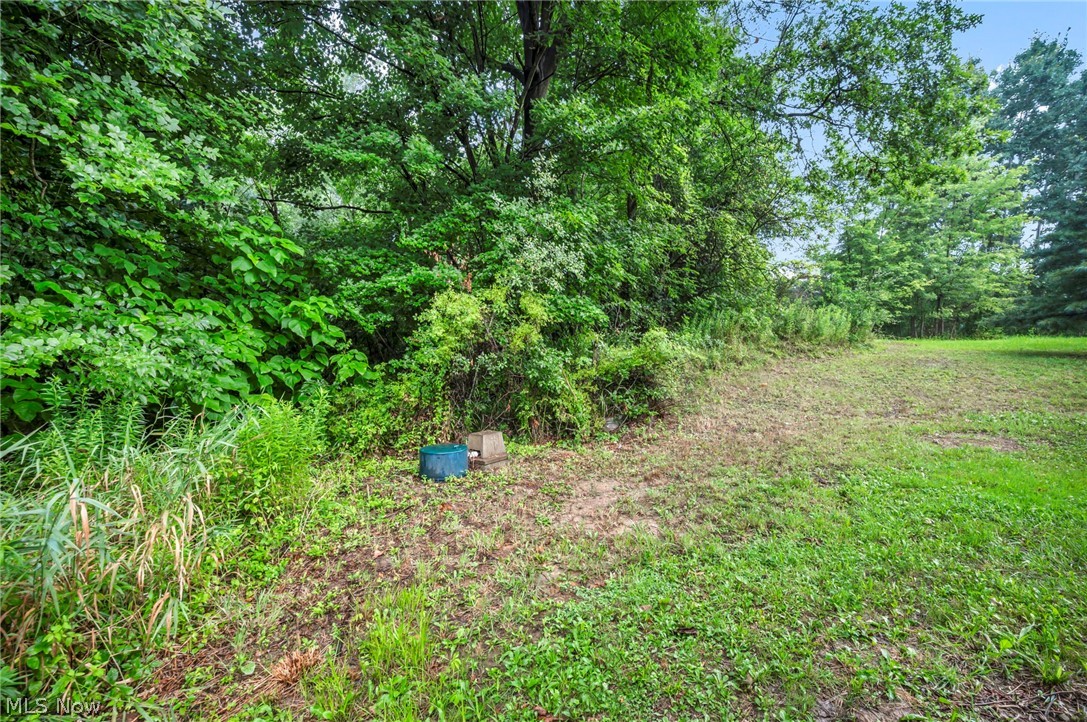 12280 Whitman Road Doylestown OH 44230