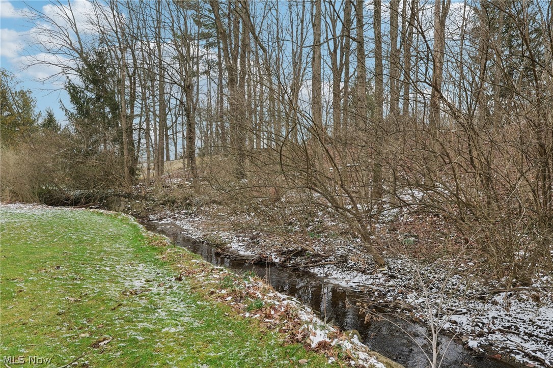 7448 Amber Lane Brecksville OH 44141