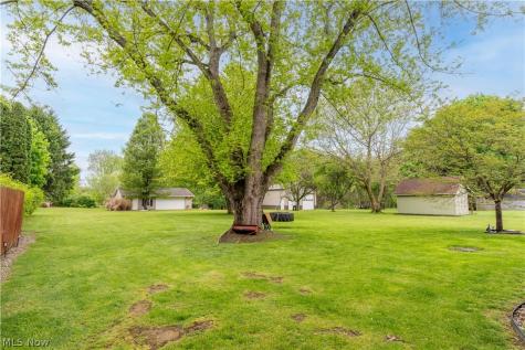 2994 Forestview Street NE Canton OH 44721