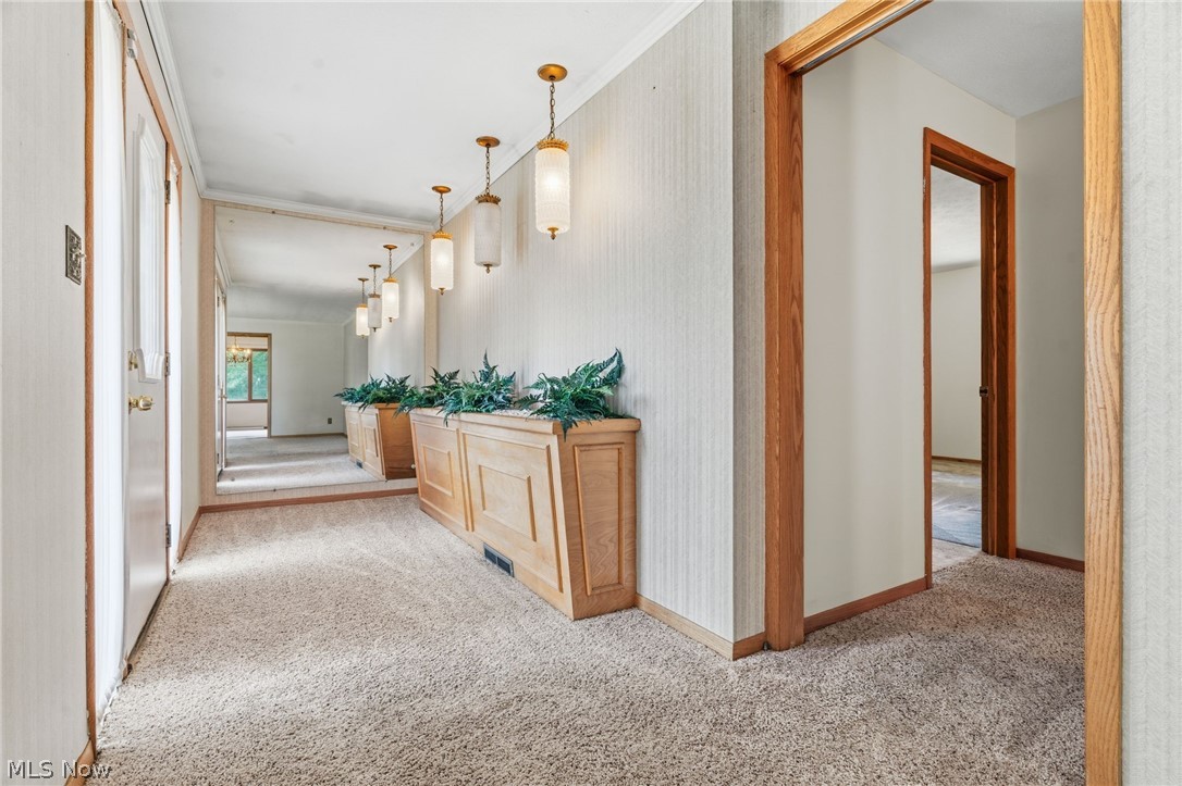 1129 Oak Tree Road Akron OH 44320
