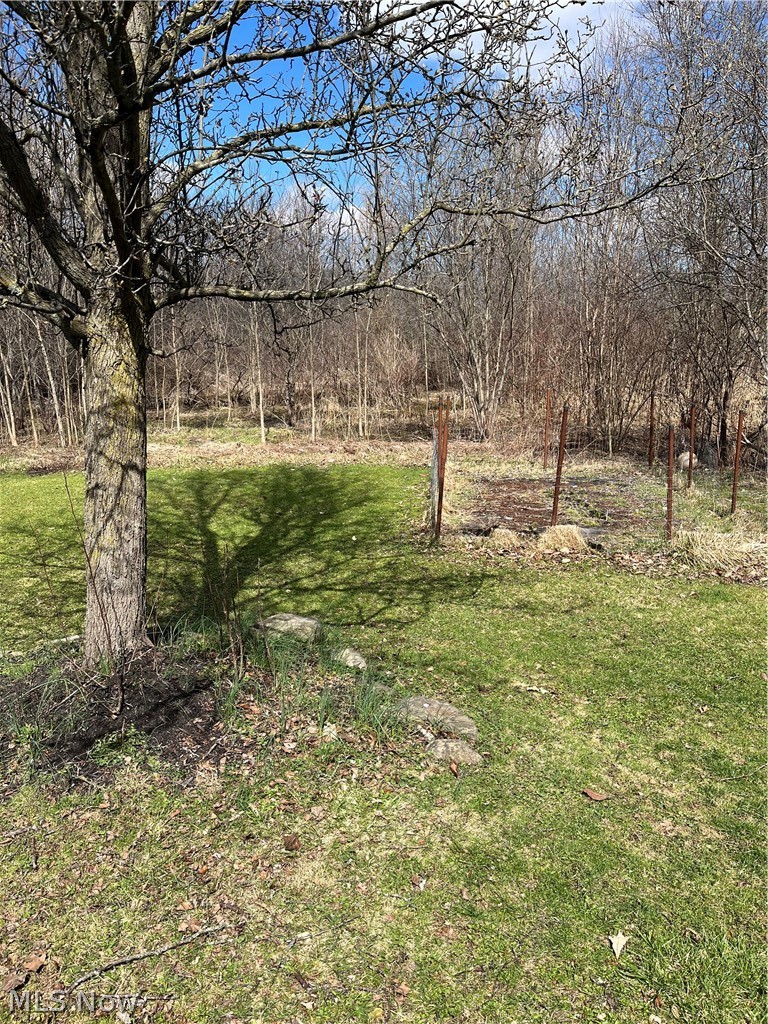 1010 Moneta Avenue Aurora OH 44202