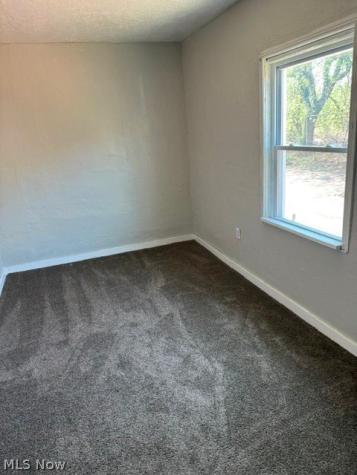 5003 Louisa Court Cleveland OH 44127