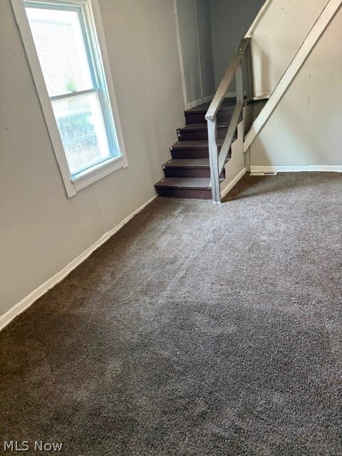5003 Louisa Court Cleveland OH 44127