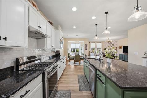 8009 Amberley Drive Mentor OH 44060