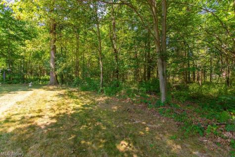 9020 Ashwood Court Olmsted Falls OH 44138