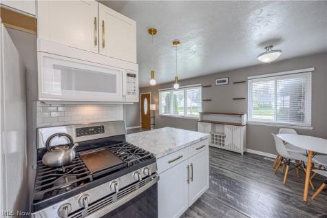 38355 Laura Drive Eastlake OH 44095