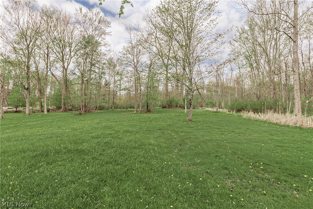 13310 Cedar Acres Drive Chesterland OH 44026