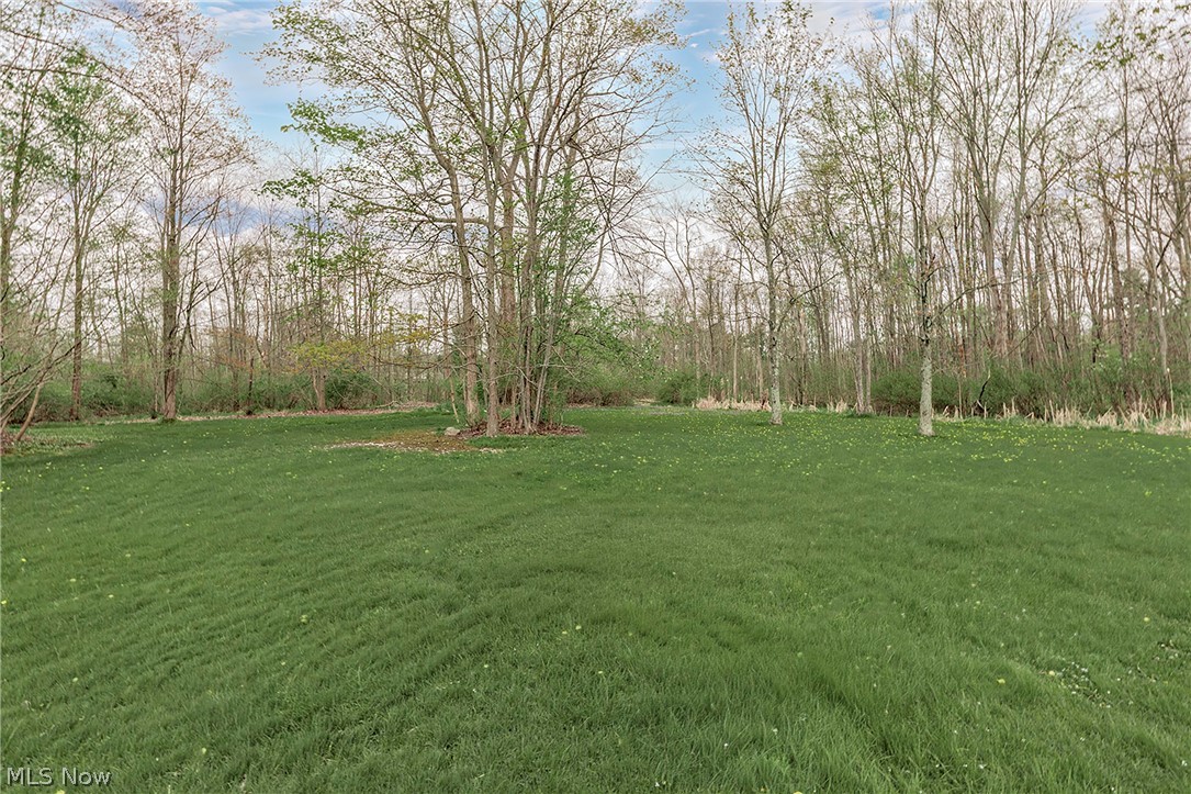 13310 Cedar Acres Drive Chesterland OH 44026