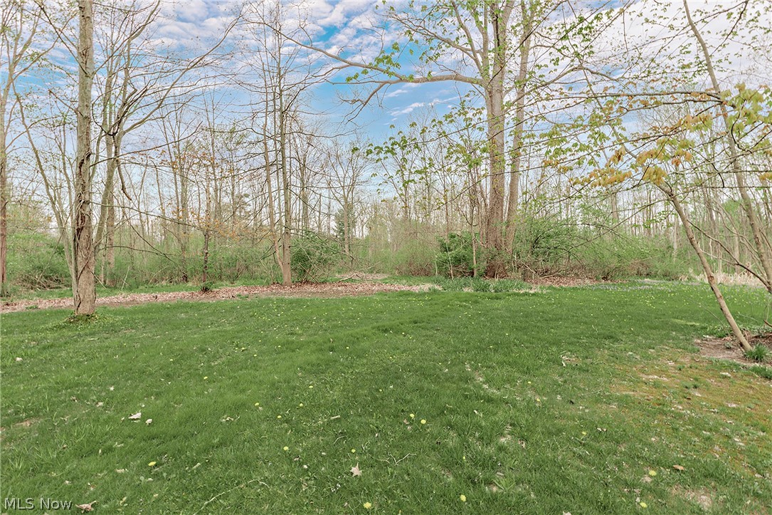 13310 Cedar Acres Drive Chesterland OH 44026