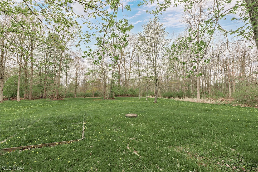 13310 Cedar Acres Drive Chesterland OH 44026