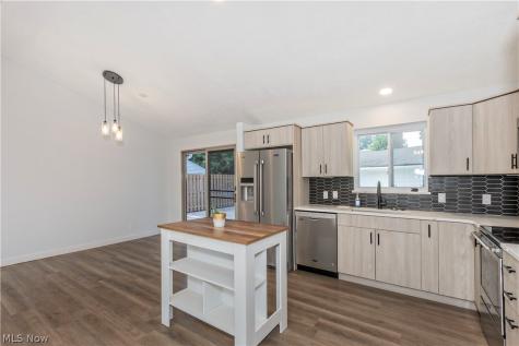 1174 Giesse Drive Mayfield Heights OH 44124