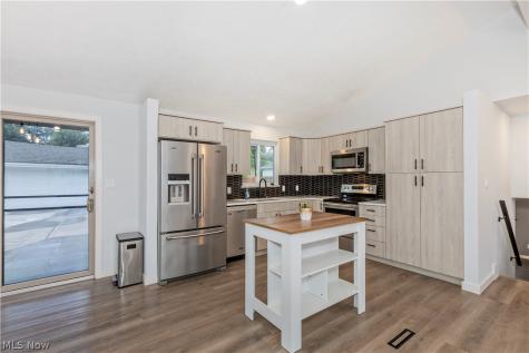 1174 Giesse Drive Mayfield Heights OH 44124