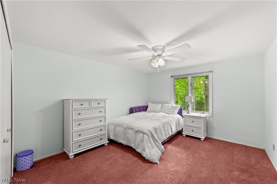 29526 Bryce Road Cleveland OH 44124