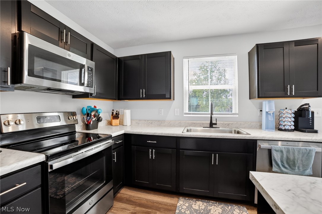 532 Roberta Drive Painesville OH 44077