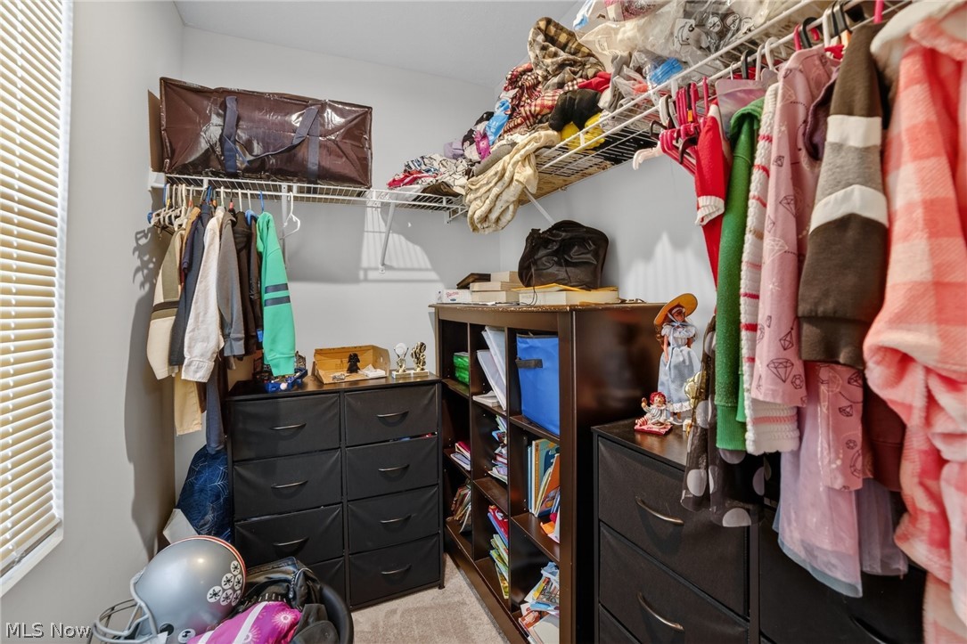 532 Roberta Drive Painesville OH 44077