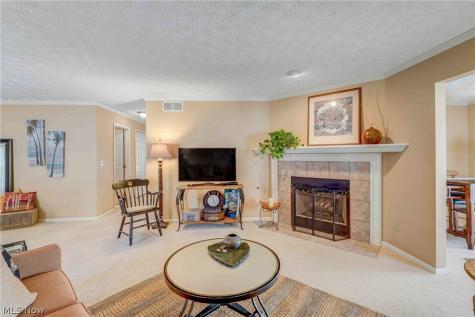 1474 Hollow Wood Lane Avon OH 44011