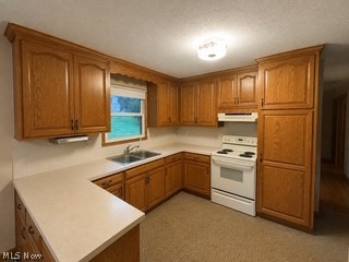 6985 State Route 39 Millersburg OH 44654