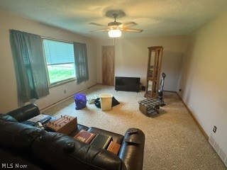 6985 State Route 39 Millersburg OH 44654