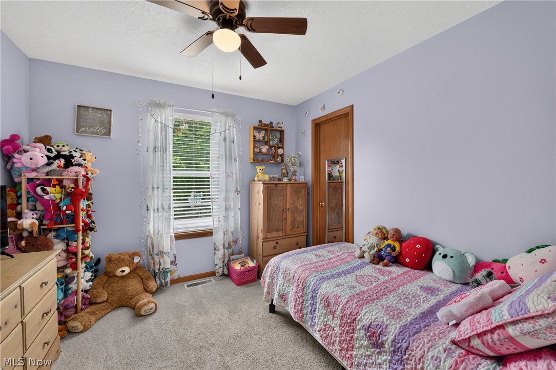 7402 Fayette Boulevard Chippewa Lake OH 44215