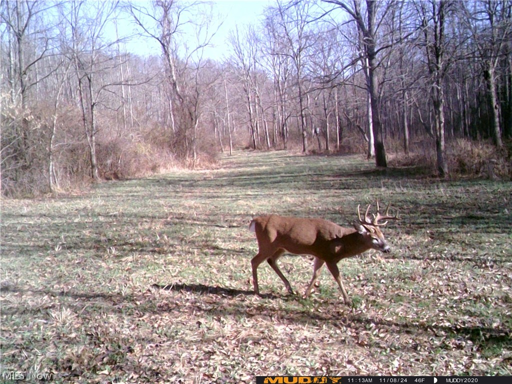 35620 Egypt North Road Barnesville OH 43713