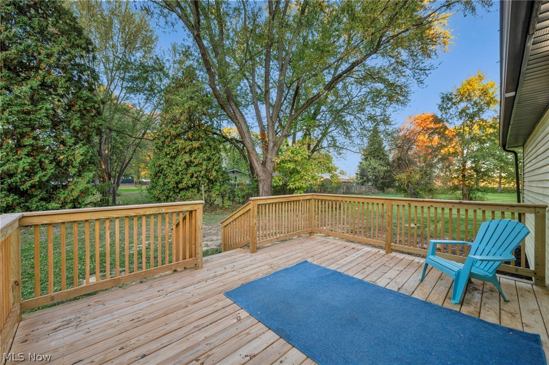 4380 Ophelia Street Newton Falls OH 44444