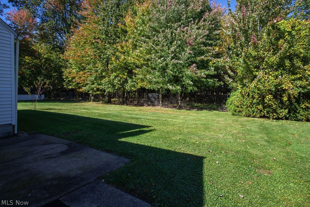 738 Orlo Lane Boardman OH 44512